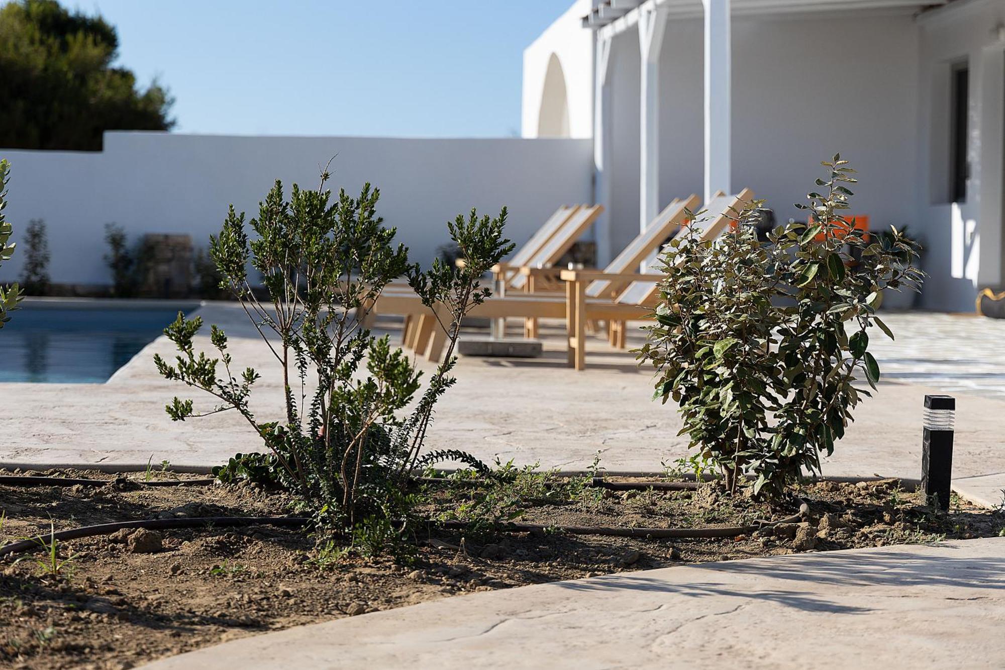 White Pearl Villa Naxos With Private Swimming Pool Naxos City Dış mekan fotoğraf