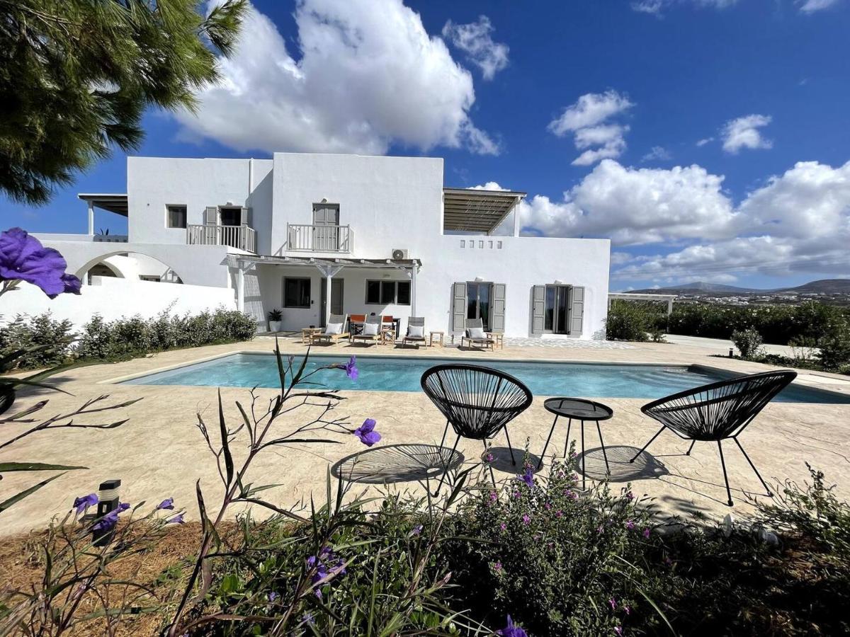 White Pearl Villa Naxos With Private Swimming Pool Naxos City Dış mekan fotoğraf