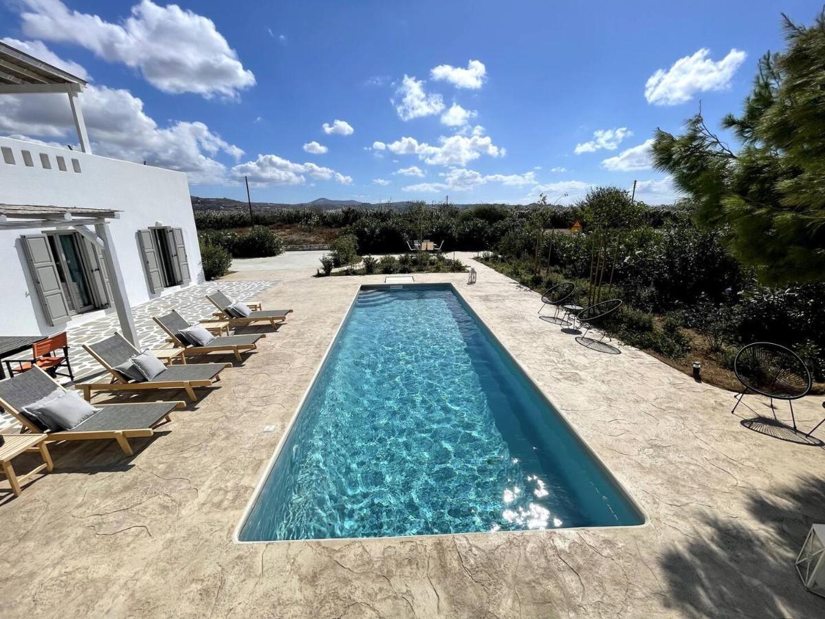 White Pearl Villa Naxos With Private Swimming Pool Naxos City Dış mekan fotoğraf